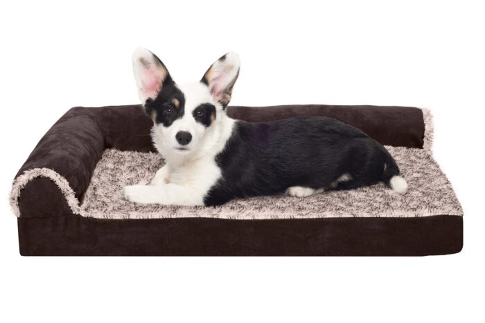 FurHaven Orthopedic Dog Bed