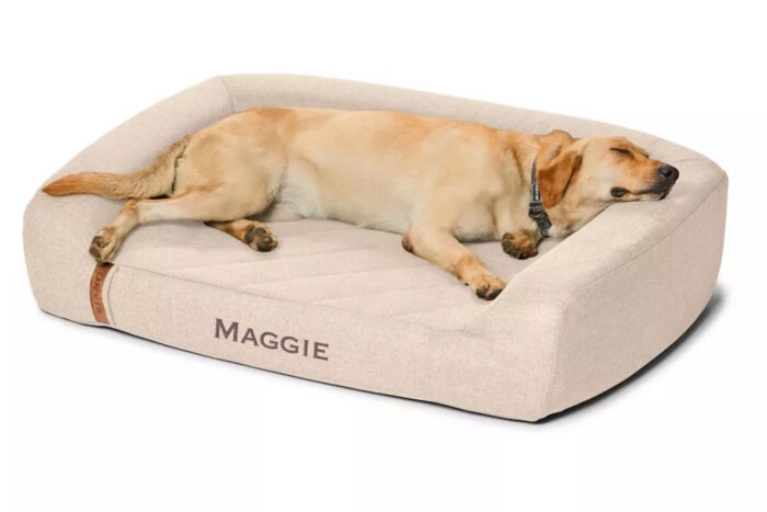 Orvis RecoveryZone Couch Dog Bed