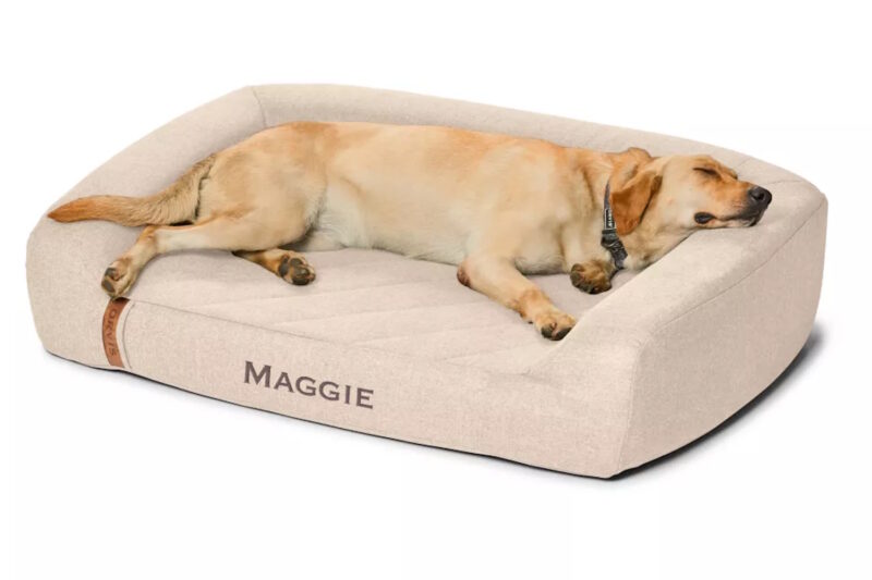 Orvis RecoveryZone Couch Dog Bed