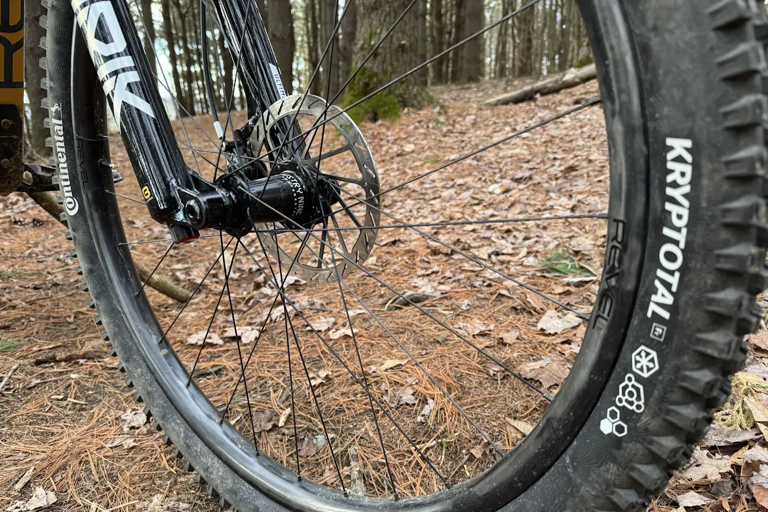 Revel Mountain Bike wheel