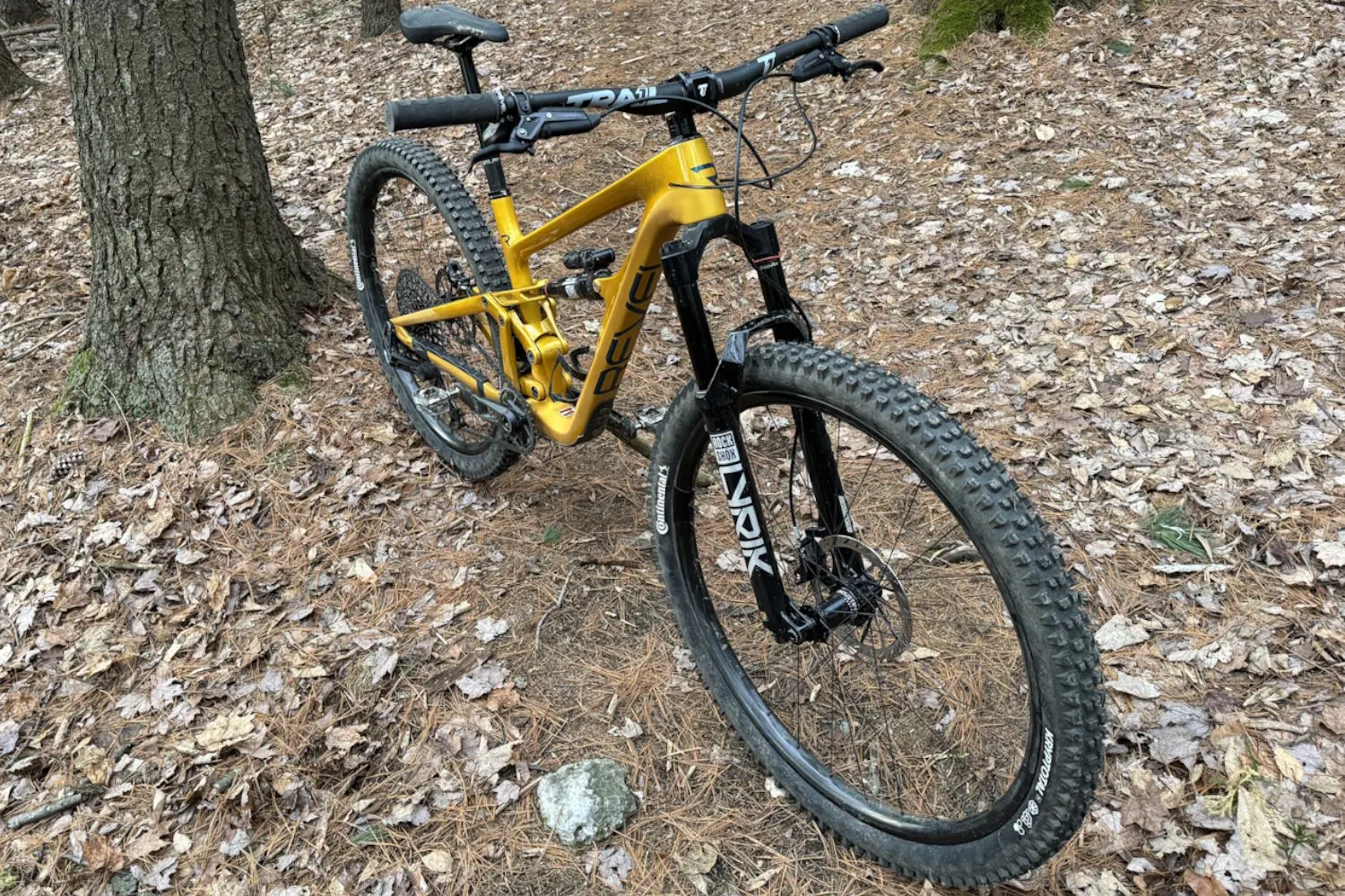 Revel Rascal V2 Suspension