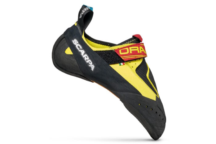 Scarpa Drago