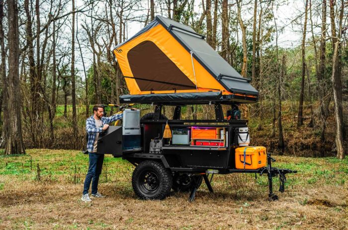 taxa moonmoth clamshell