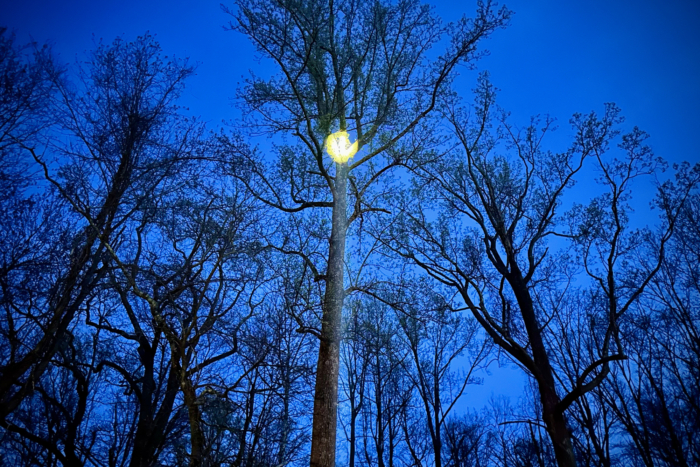 acebeam terminator m1 flashlight pointing light to the tree so it looks like a moon