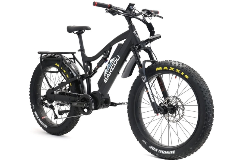 Bakcou Storm E-Bike