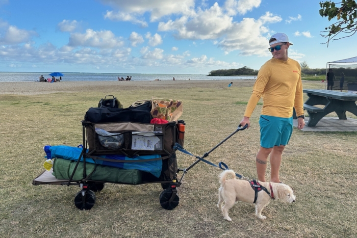 Beach wagons buyer's guide lead image