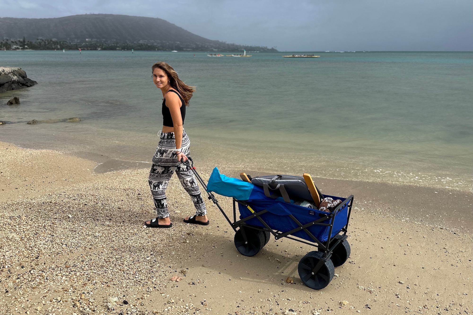 thumbnail image 2 of Beach Sand Cart With 12-Inch Wheels – Heavy Duty Wagon For Gardening, Gear, And Hauling On Sand 2 of 6