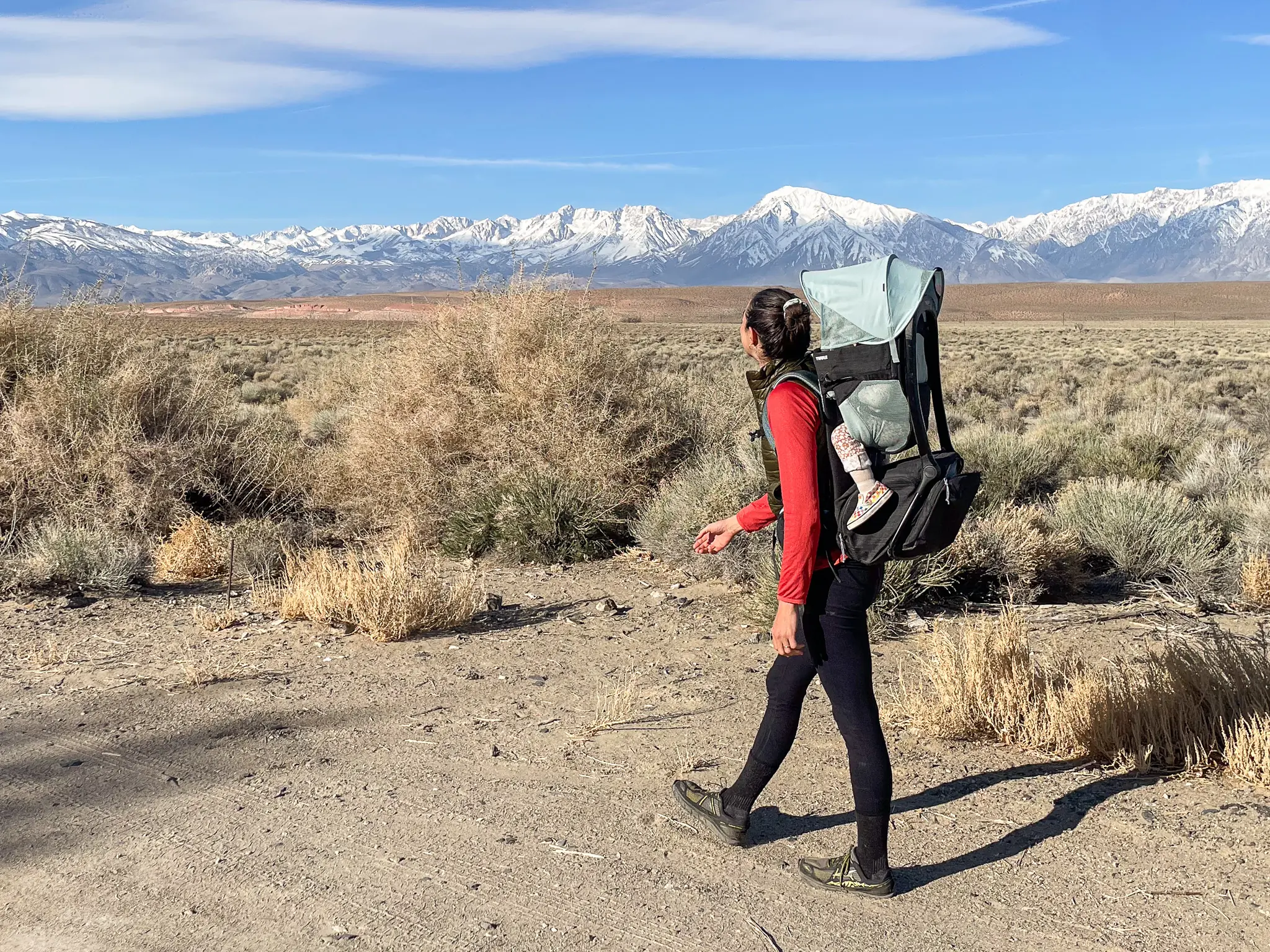 best baby carriers for hiking