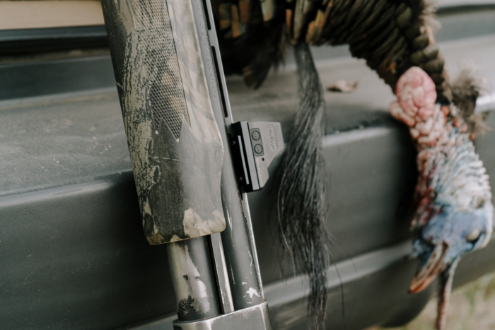 Longbeard Taken with HE508T X2