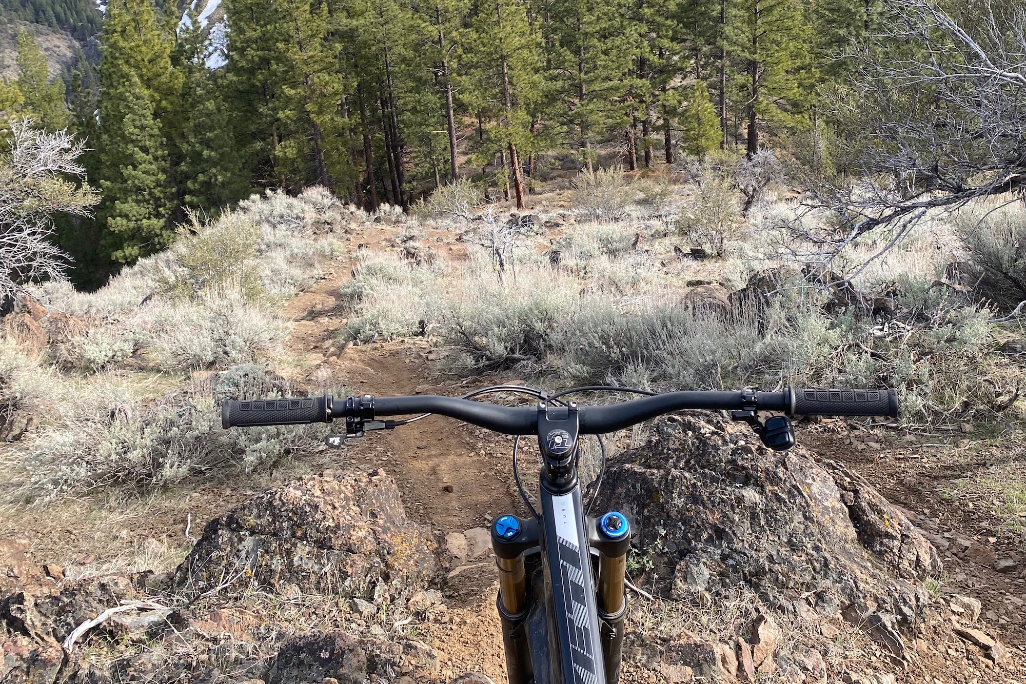 Looking down the trail over the ODI Elite-Pro mtb grips