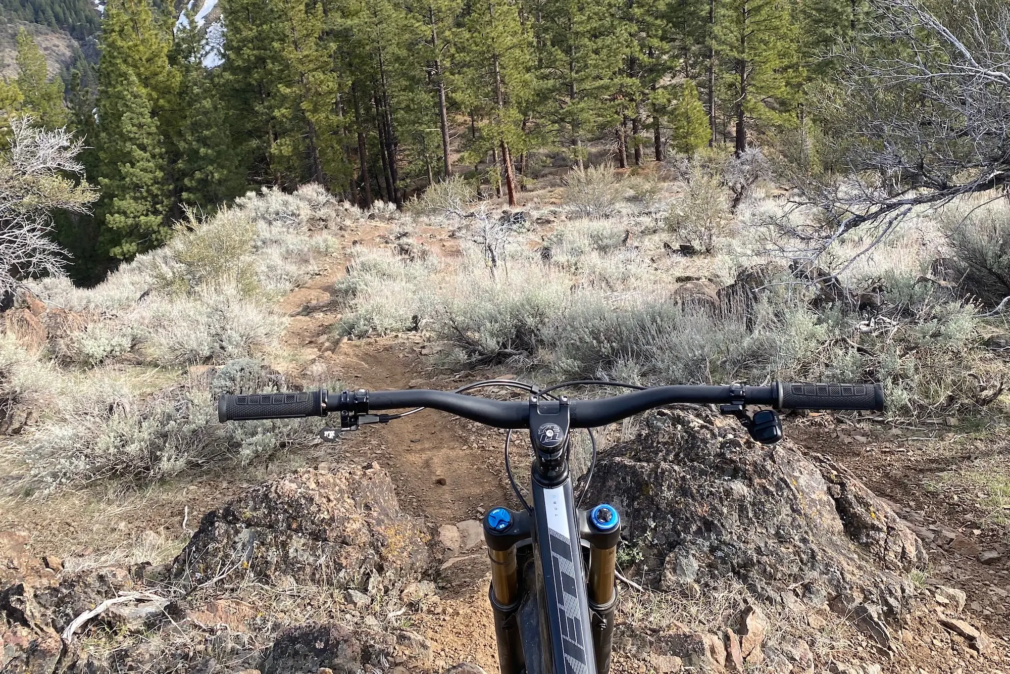 Looking down the trail over the ODI Elite-Pro mtb grips