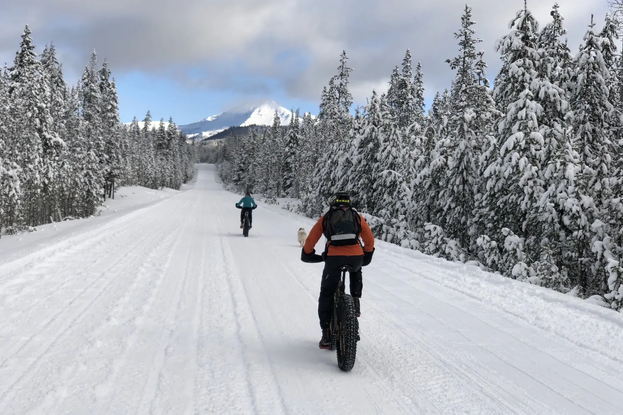 Riding fat bikes on a groomed trail near Bend, Oregon