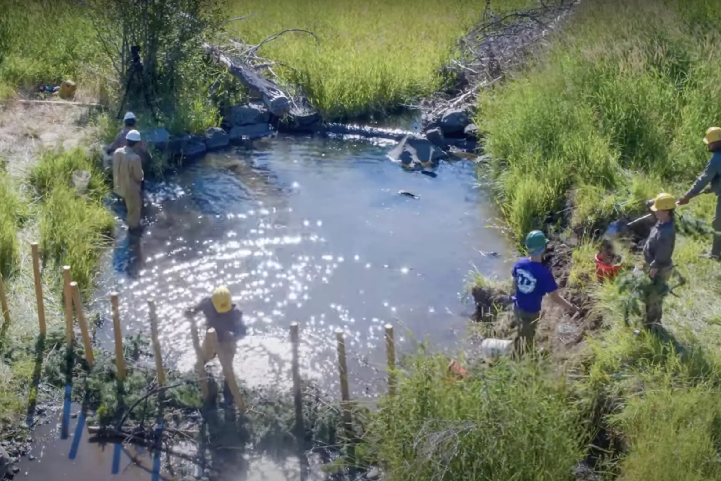 Beavers Can Do Better: Oregon Hand Crew Builds Dams to Attract Beavers for Habitat Health