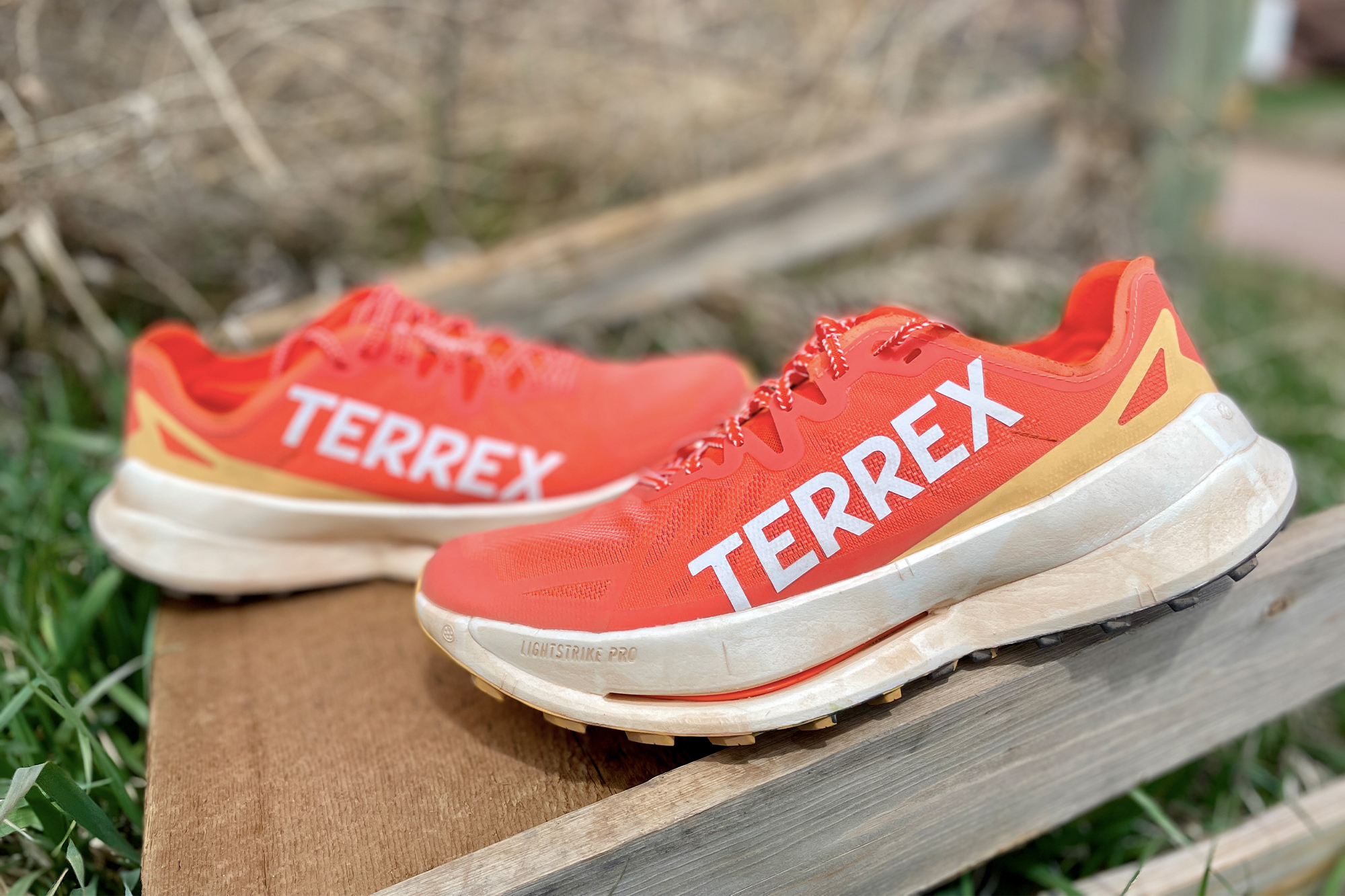 New trail super shoe adidas terrex agravic speed ultra