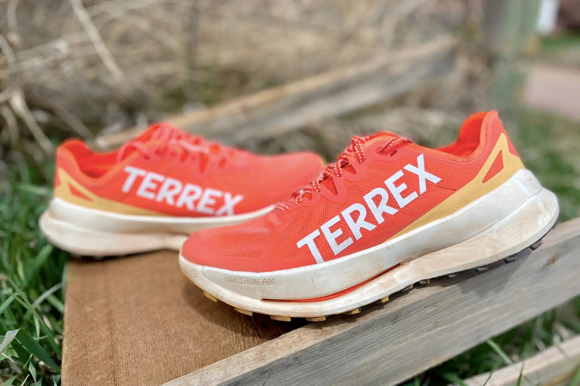 New trail super shoe adidas terrex agravic speed ultra