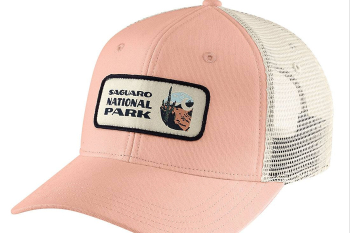 carhartt cap saguaro