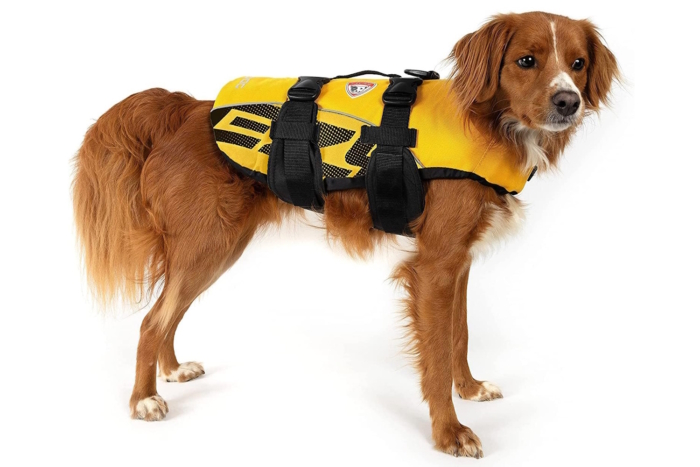 EzyDog Premium Doggy Flotation Device