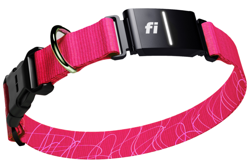 Fi Series 3 Smart Dog Collar