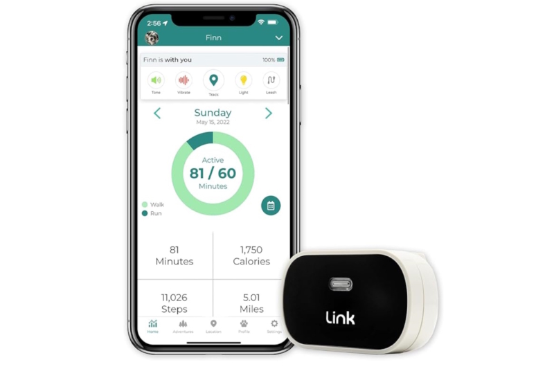 Link Smart Pet Wearable