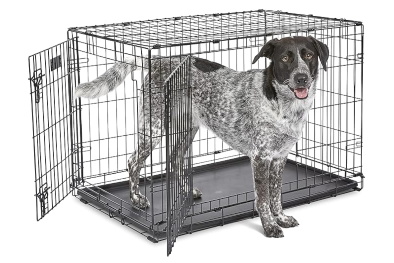 MidWest Homes for Pets Double Door iCrate Dog Crate
