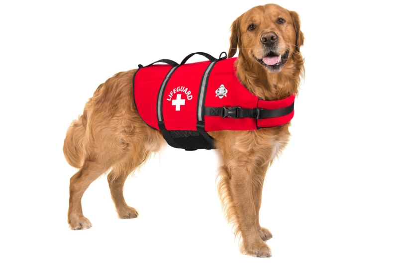Paws Aboard Dog Life Jacket