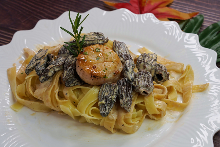 Tagliatelle with creamy morel sauce and Hokkaido scallop