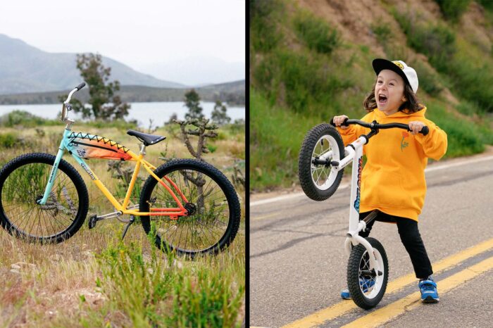 state bicycle free & easy