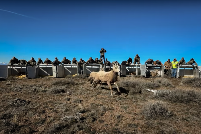 KUIU Conservation Direct