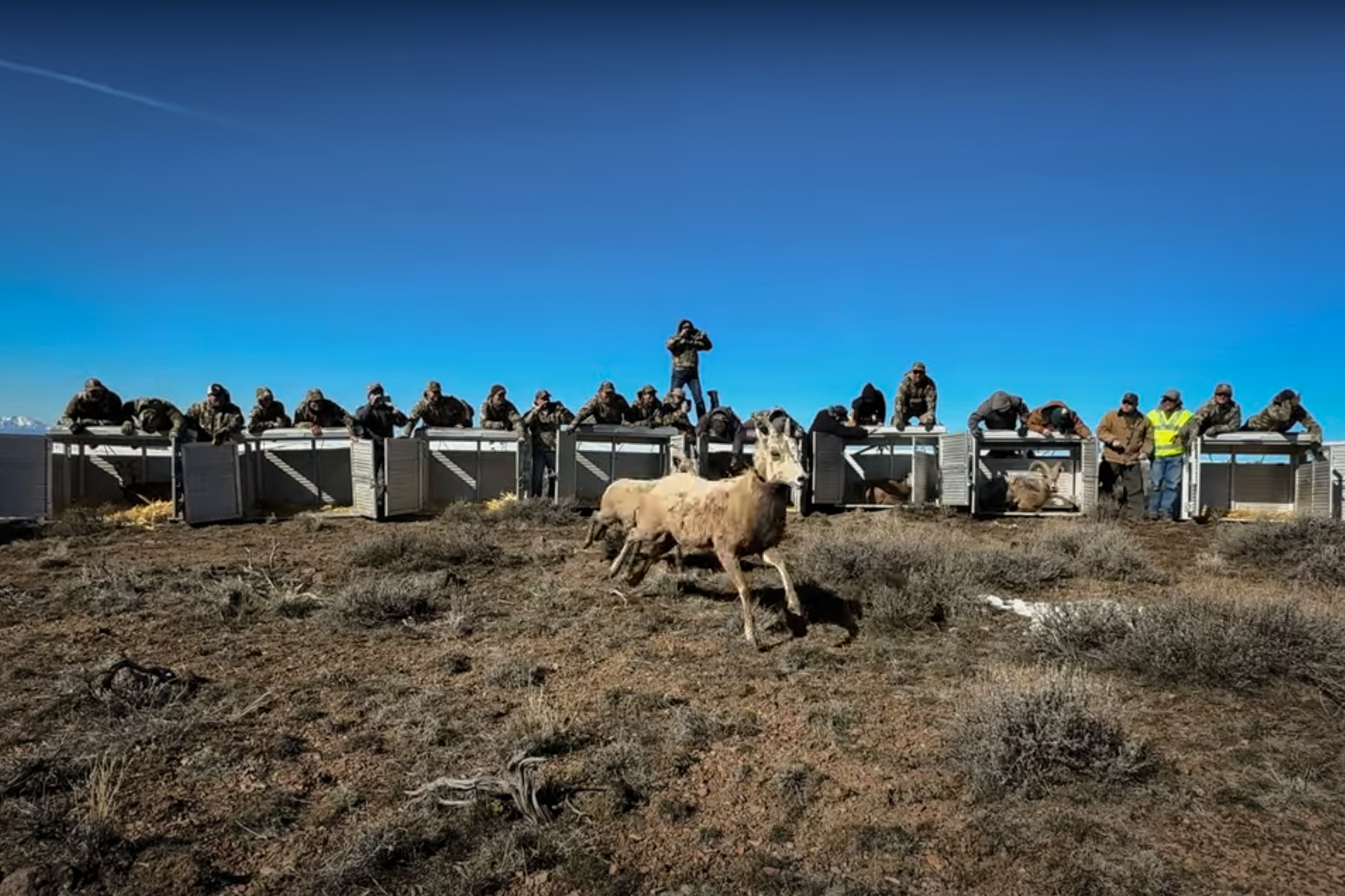 KUIU Conservation Direct