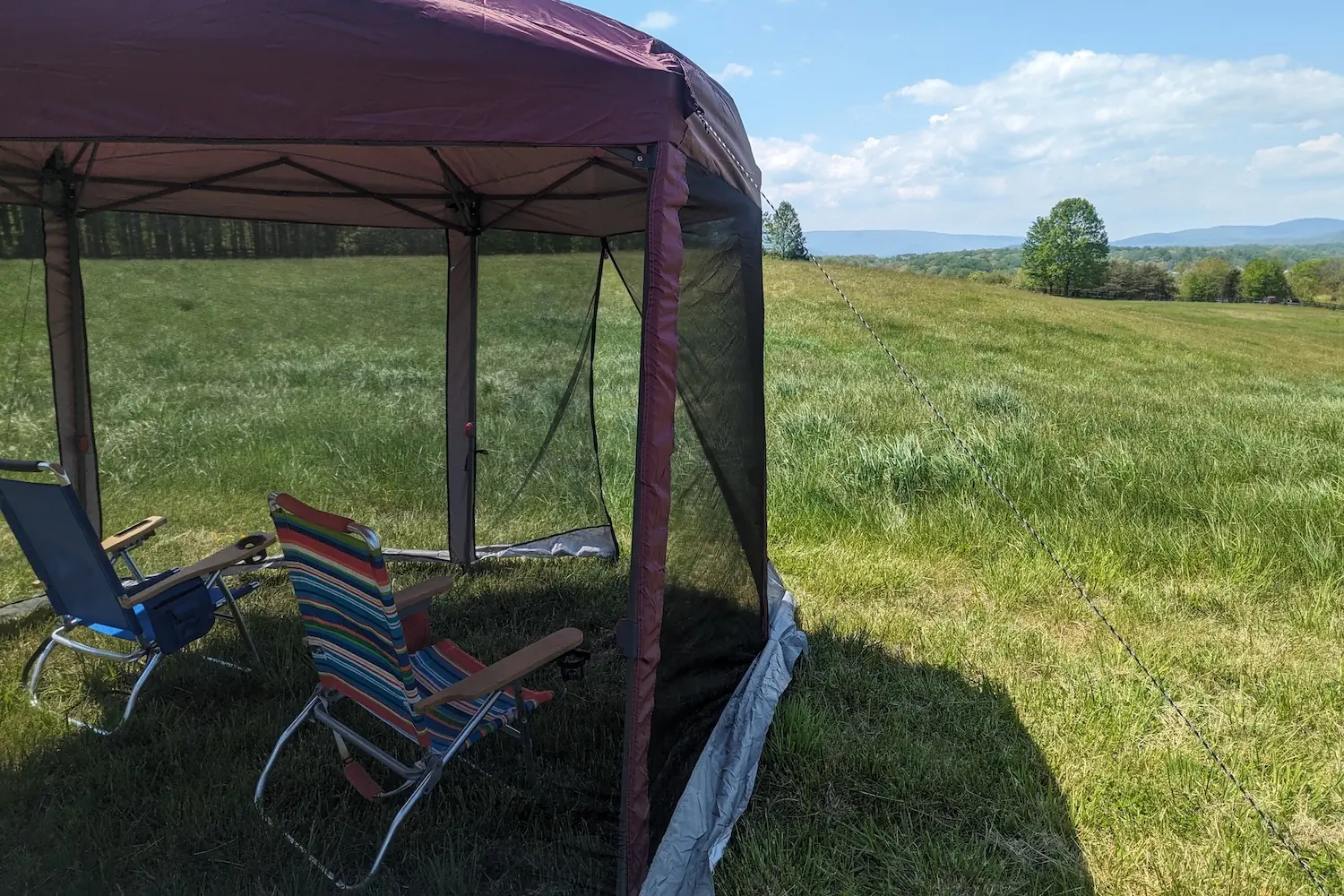 The Coleman Back Home Screen Canopy set up in a field with two chairs inside