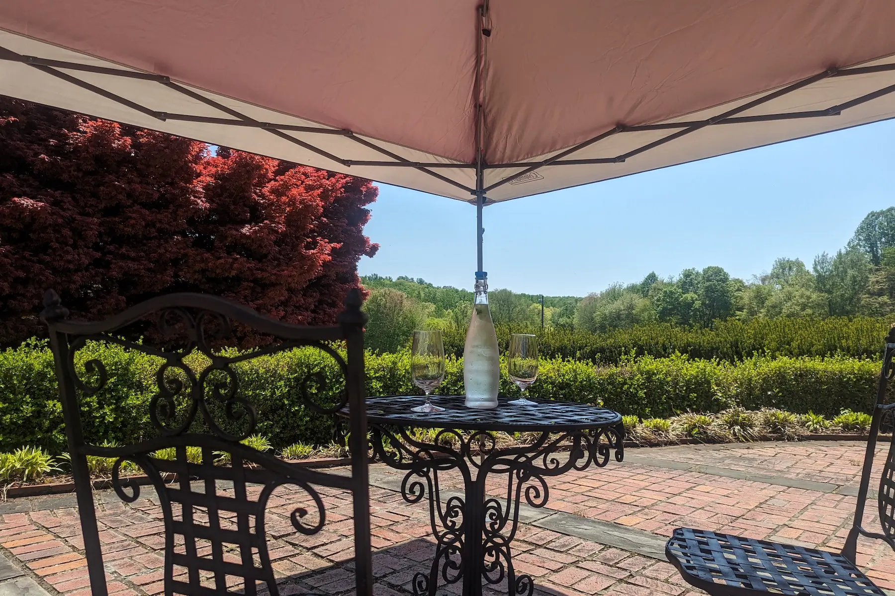 The Coleman Oasis Canopy set up on a patio