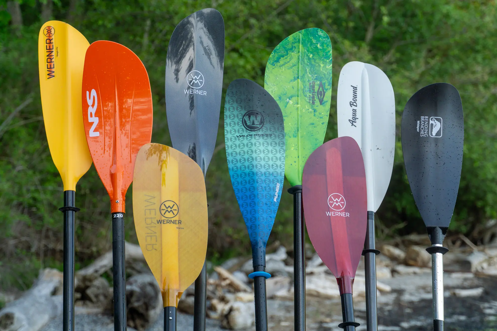 A selection of kayak paddles set side-by-side for comparison