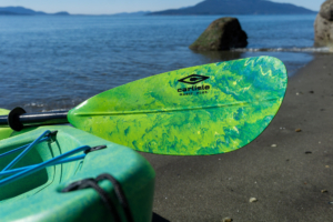 green paddle with coast backdrop