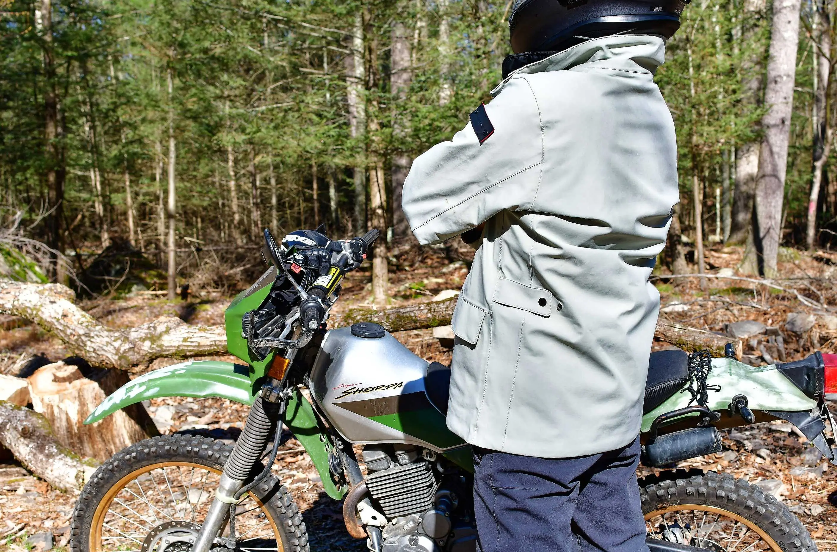 backside of a moto jacket 