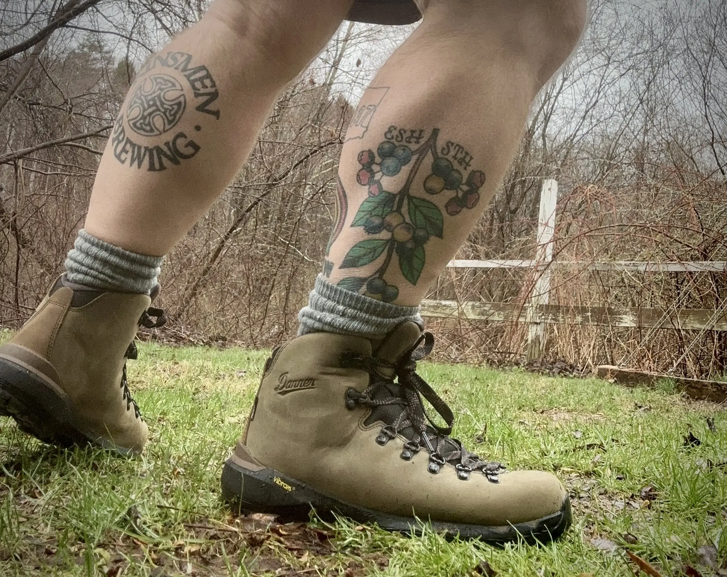 Danner Mountain 600 EVO Hiking boots