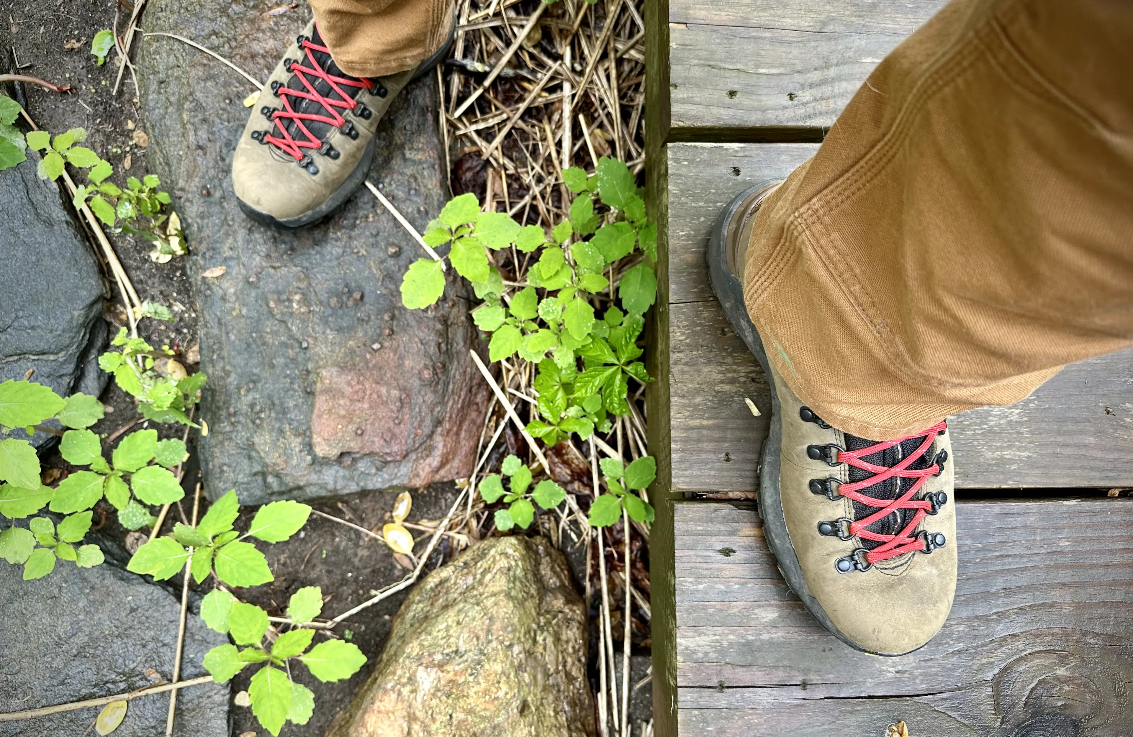 Danner Mountain 600 EVO Hiking boots