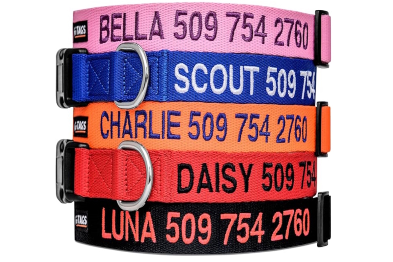 GoTags Personalized Dog Collar