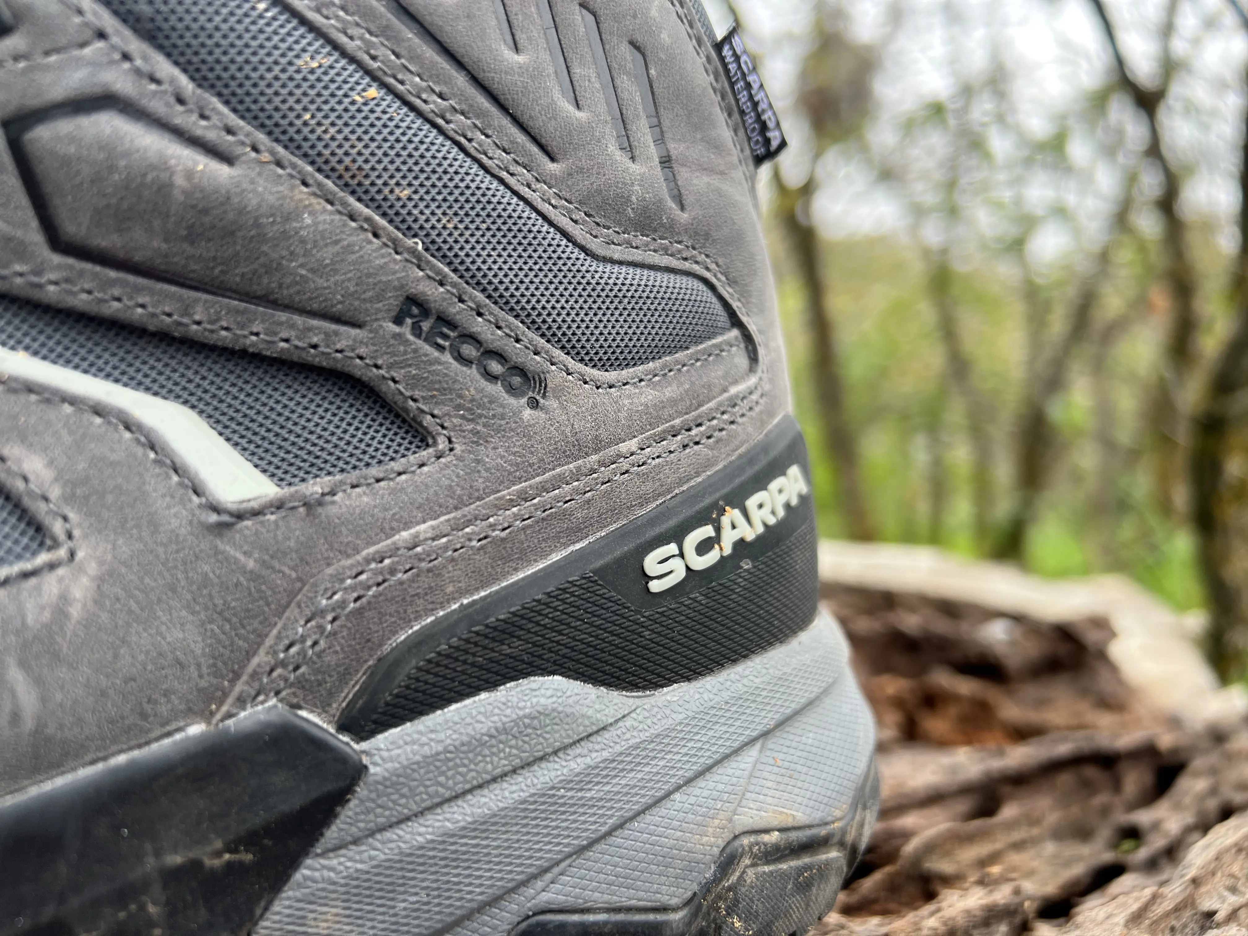 Scarpa Moraine Hiking Shoe