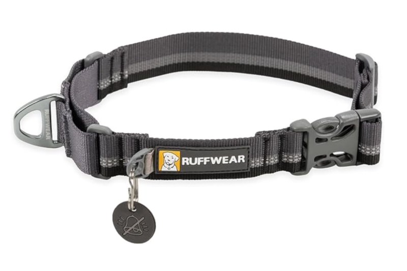 Ruffwear Web Reaction Martingale Dog Collar With Buckle