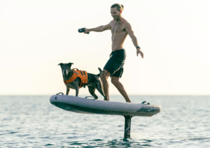 blowfish lift e-foils