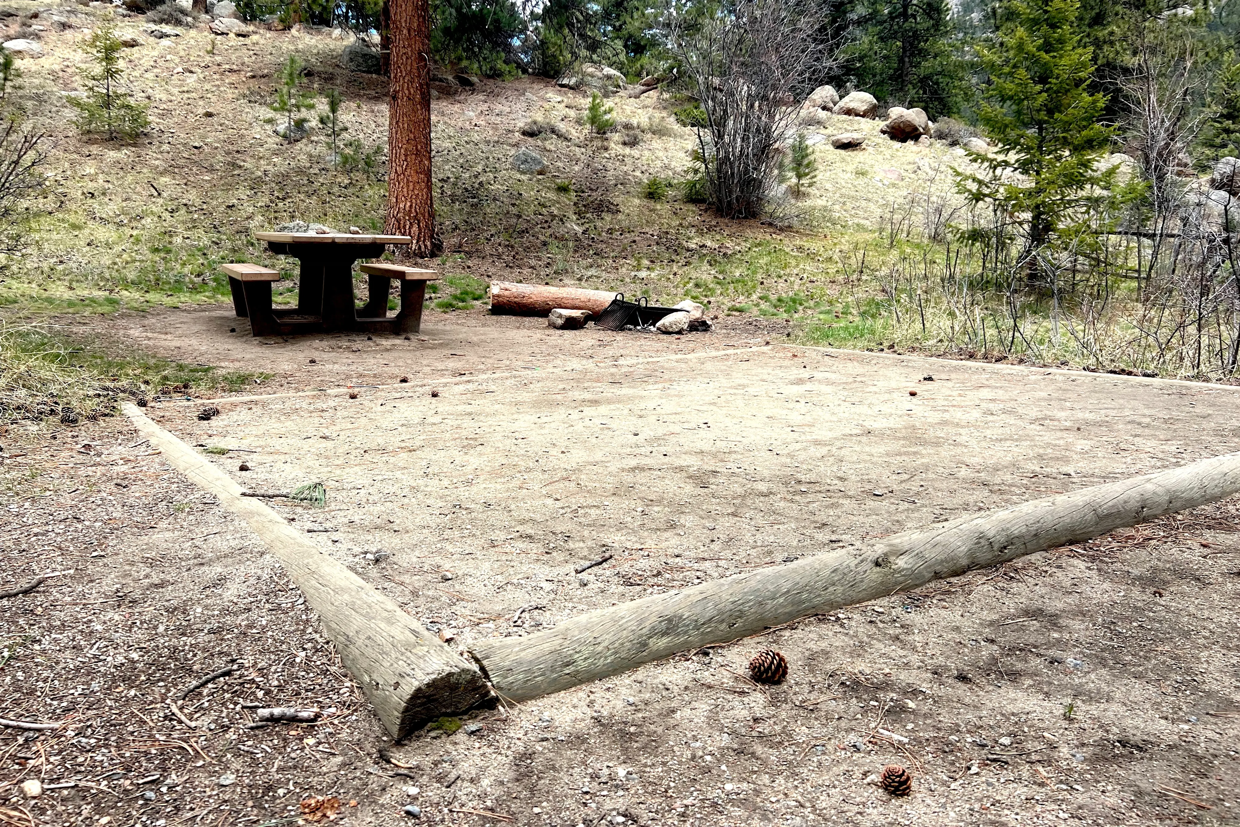 RMNP proposes price changes for campgrounds