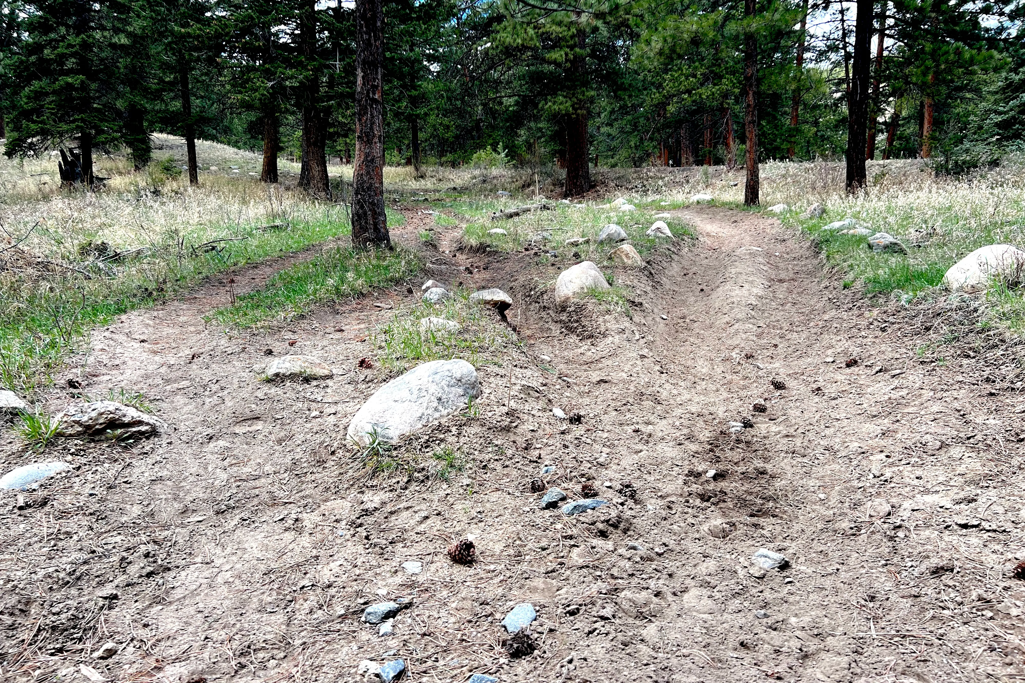 RMNP proposes price changes for campgrounds