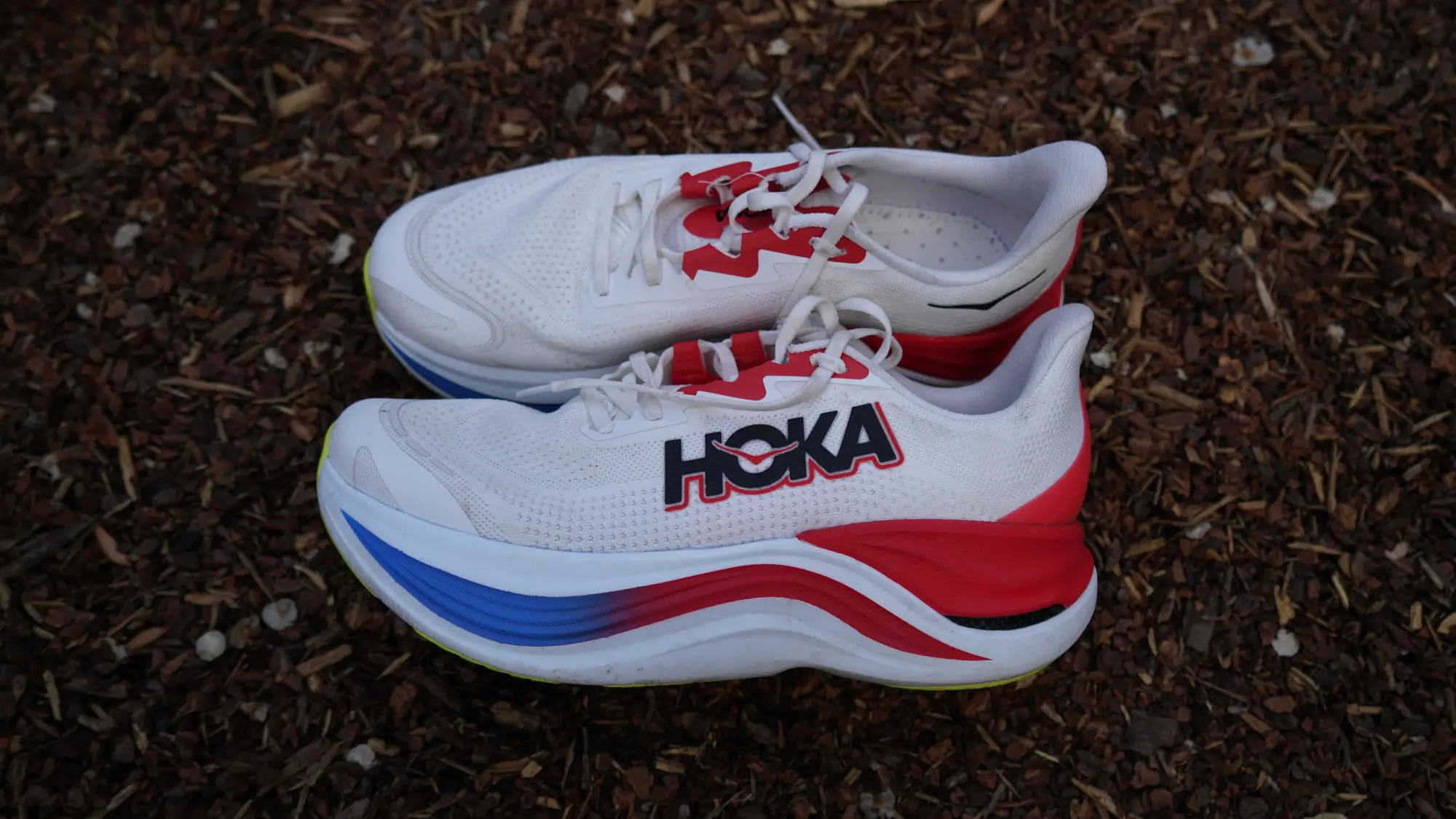 GJBG Hoka Skyward X