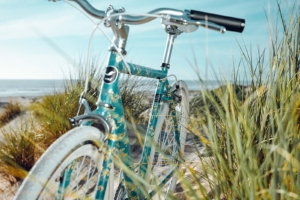 sole bicycles van gogh