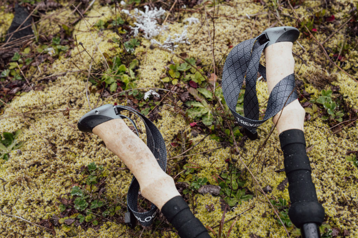 Trekology Trek-Z 2.0 Poles — Straps on green mossy background