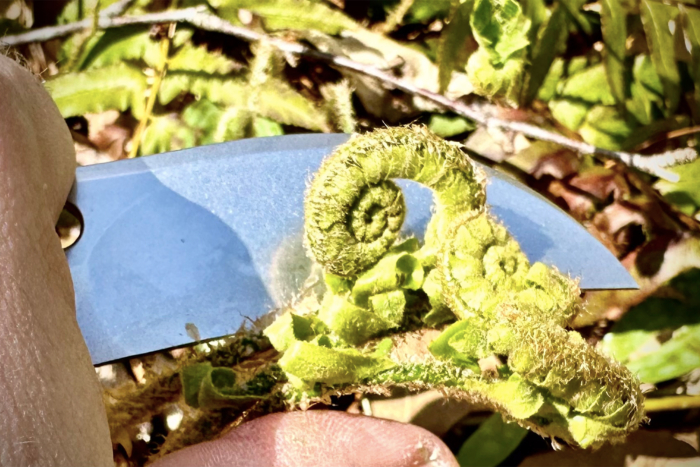 cutting with vosteed griffin