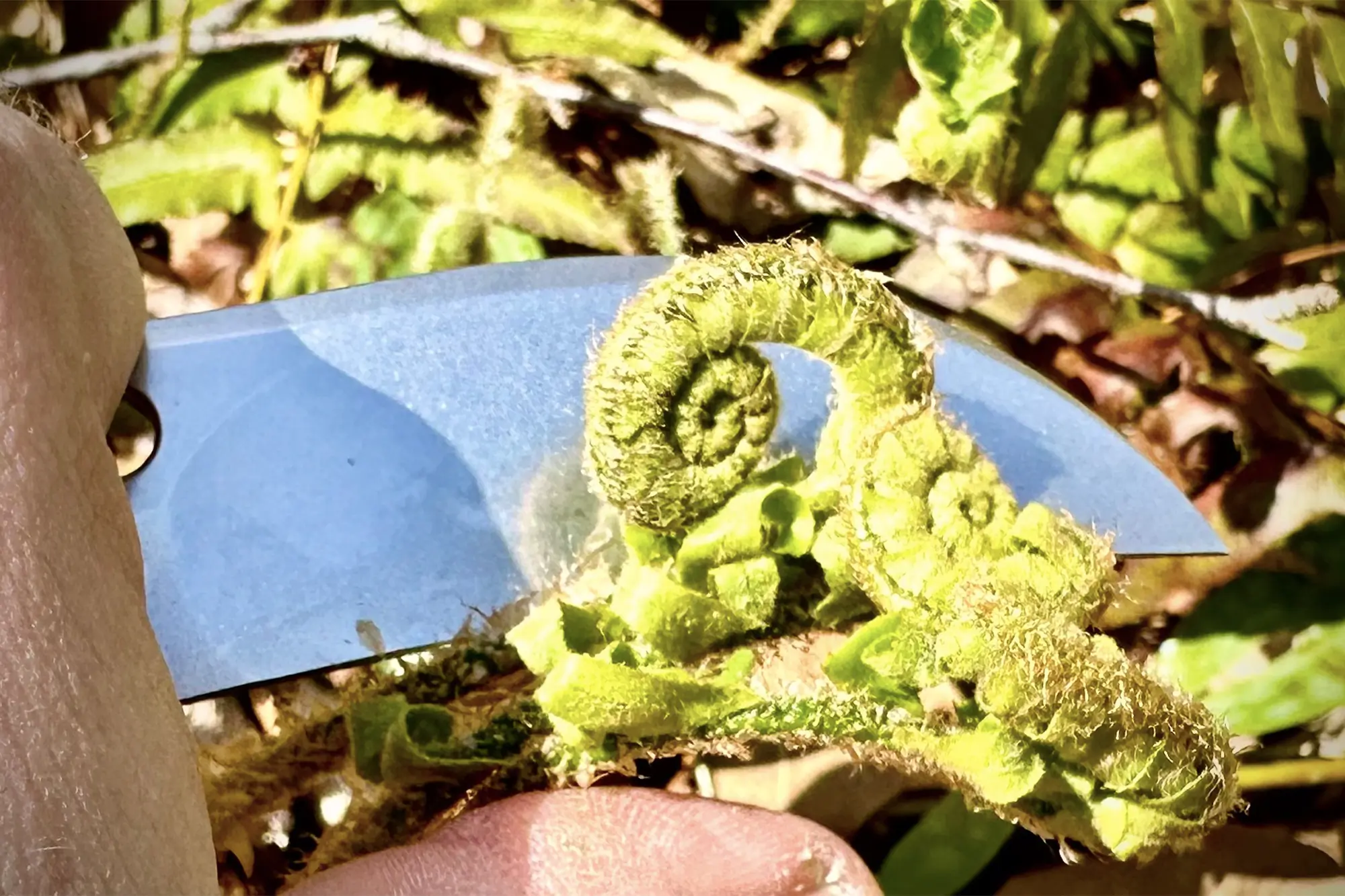 cutting with vosteed griffin 