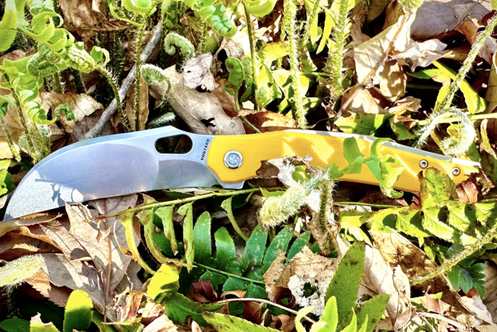 vosteed griffin in the grass