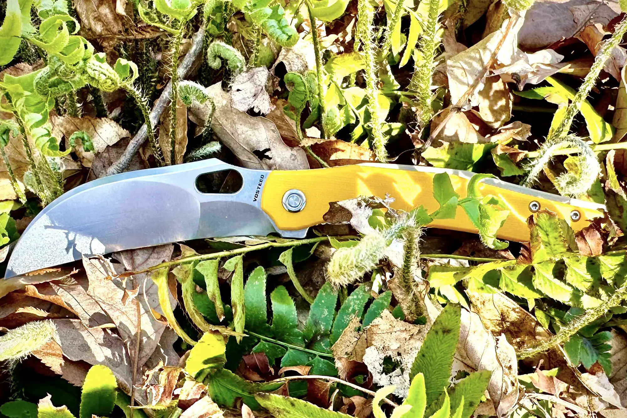 vosteed griffin in the grass