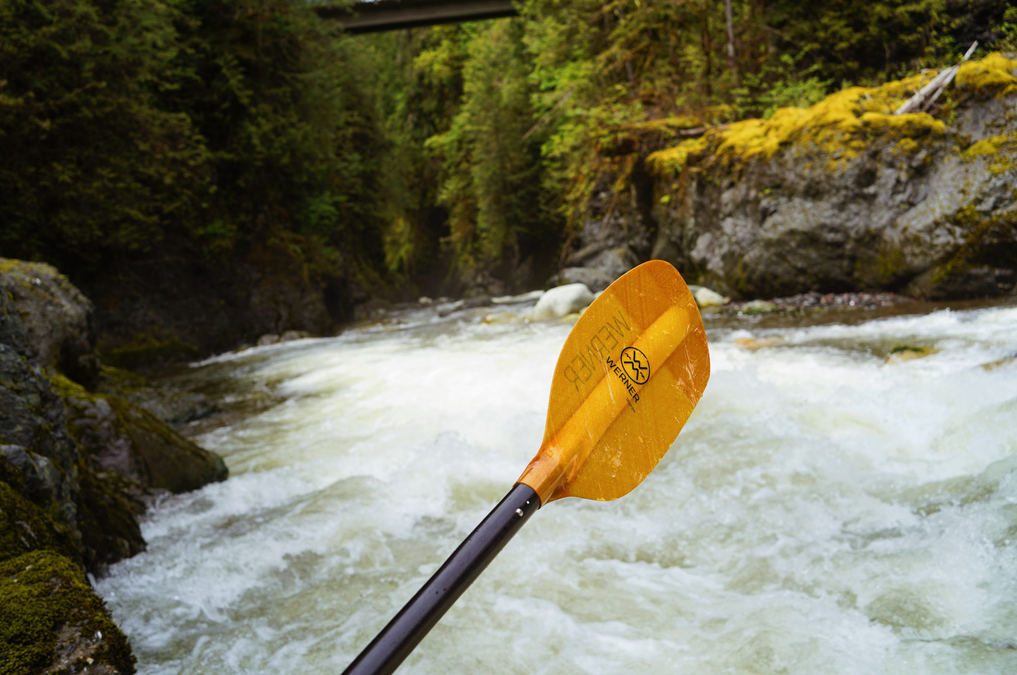 The Sherpa paddle held out against a backdrop of whitewater canyon